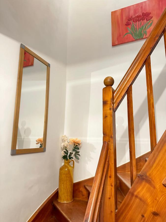 Green Paradise & Cozy Retreat Salzburg With Free Parking Екстер'єр фото